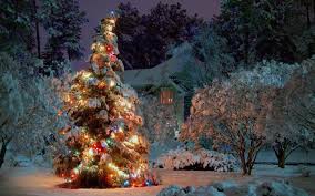 Christmas Backgrounds For Computer 58 Pictures