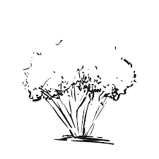 Letto in ferro battuto matrimoniale nero con sfumature color argento. Disegno Albero Stilizzato In Ferro Battuto Nero Iia Appendiabiti Da Terra Di Design A Arreda Casa Online Mobili Prezzi Offerte Ultraviolence Thrash