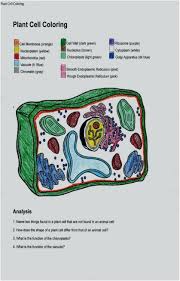 Cell Coloring Worksheets Coloring Pictures Of Plant And Animal Cells Doppelgunner Di 2020 Sel Hewan Sel Tumbuhan Hewan