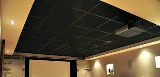 What are a few brands that you carry in 2 x 4 drop ceiling tiles? Gb Acoustics Pet Acoustic Tiles