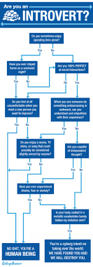 Flowchart Are You An Introvert Collegehumor Post