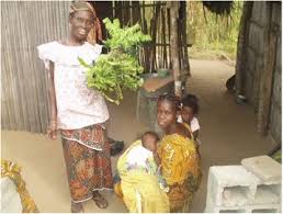 Image result for Pleioceras gilletii