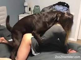 XHAMSTER Free Animal Porn Tube Videos. Bestiality and Zoo XXX by  XHAMSTER.COM