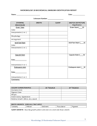 Microbiology 20 Biochemical Unknown Report