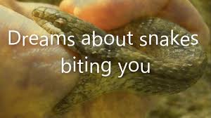 /how to interpret a dream about snakes. Dreams About Snakes Biting You Dreams Meaning And Interpretation Youtube
