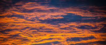 Your sunset cloud background stock images are ready. Sunset Clouds Background Free Stock Photo Public Domain Pictures