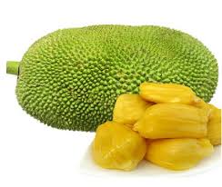 कटहल में ही नहीं, इसके बीज में भी ...