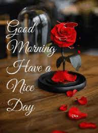 Buy flowers online at your wedding in uae rosecharmjlt which makes the wedding on account that they beautiful animated good night status gif download. Good Morning Flowers Gifs Tenor