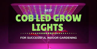 These reviews explain why the grow lights got their ratings and will also help you decide which of these fixtures is best for your needs. Best Cob Led Grow Light 2021 For Indoor Gardens Reviews Buying Guide