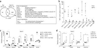 Kpk dari 32 dan 48 adalah. Lineage Specific Functions Of Tet1 In The Postimplantation Mouse Embryo Nature Genetics