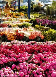 Buy flowers online in tamworth, roses, lilies, tulips, mixed bouquets, arrangements, same and next day flower delivery from bloomex australia. Mayflower Farm Australia Country Magazine