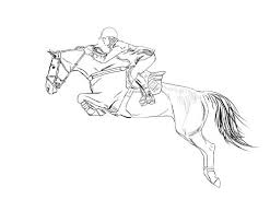 We did not find results for: Live Laugh Ride How To Draw A Jumping Horse Horse Art Drawing Horse Sketch Horse Drawings