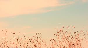 Soft Wallpaper Download Desktop 3593 Wallpaper Soft Wallpaper Aesthetic Desktop Wallpaper Vintage Desktop Wallpapers