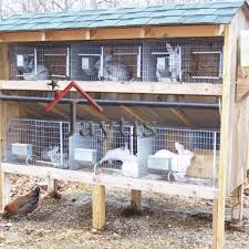 Cara membuat reban ayam menggunakan c channel roof senang cepat dan murah. Dawai Jaring 1 2 X1 X17gx3 X50 Sangkar Reban Arnab Ayam Binatang Pokok Tahan Karat Hdg Welded Wire Mesh Shopee Malaysia