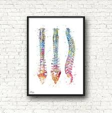 Medical Art Watercolor Spine Clinical Art Doctor Etsy Medical Art Anatomy Art Illustration Print
