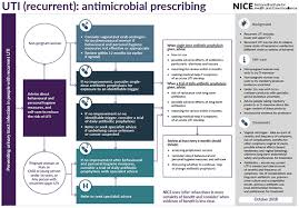 Overview Urinary Tract Infection Recurrent