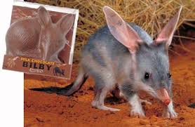 Sustainable Eating Easter Bilby Animals Australian Wildlife