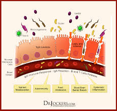 Why You Should Avoid Lectins In Your Diet Drjockers Com