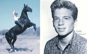 Fury 116 Episodes (1955-1960)