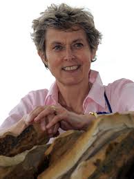 A Falkirk of their own: Tory party activists in Thirsk and Malton accused  of feud against MP Anne McIntosh