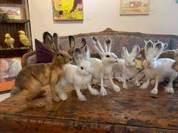 We Had A Great Felting 2 Days I Sarafina Fiber Art Facebook