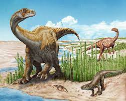 Schleitheimia Schutzi New Species Of Plant Eating Dinosaur Identified In Switzerland Paleontology World Dinosaur Bear Species Species