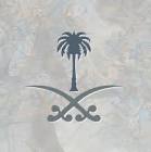 شات لقيت روحي|شات لقيت روحي للجوال|شات لقيت روحي الصوتي|شات لقيت الاصلي