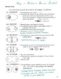 Meiosis review worksheet & more fillable forms, register and subscribe now! Mitosis Worksheet Answer Key Honors Biology Docsity