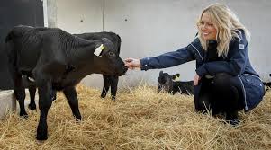 Suniref:cr004 ecommerce national account manager, target core description: Family Farm Teams Up With Food Group Border Counties Advertizer