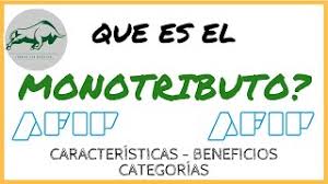 Sí, hasta un máximo de 3 facturas mensuales o para tus primeras 15 facturas. Que Es El Monotributo Principales Caracteristicas Categorias Beneficios Youtube