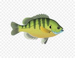 Maybe you would like to learn more about one of these? Pond Cartoon