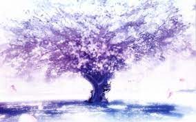 Maybe you would like to learn more about one of these? 190 Sakura Hd Wallpapers Background Images