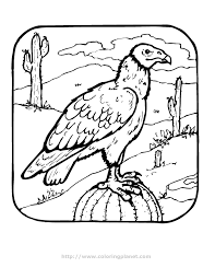 1144 x 1200 jpeg 74 кб. Vulture Coloring Pages Coloring Home