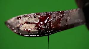 Add wine and liquamen and cook. Close Up A Bloody Knife Shot In Front Of Stock Video Pond5