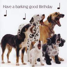 Happy birthday, and i think the two of you should make the cover of a fashion magazine. Birthday Quotes For Dog Lovers Quotesgram
