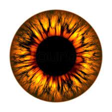 9553047 Fire Eye Jpg 800 800 Iskusstvo Glaza Cvet Glaz Risovat Glaza