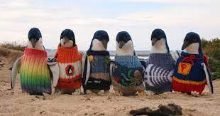 Free uk delivery & returns. Australia S Oldest Man Knits Tiny Sweaters For Injured Penguins Bored Panda