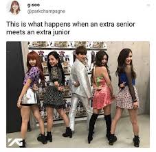 Pin By Yami Goya On Kpop Idols Blackpink Memes Blackpink Funny Blackpink Fashion