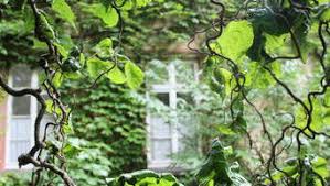 Der botanische garten kiel setzt bereits seit über 20 jahren keine pestizide mehr in der schaugewächshausanlage ein. Botanischer Garten Versteckt Und Vergessen Giessen