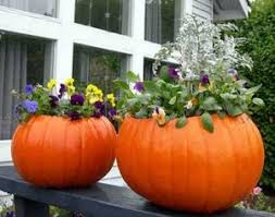 Us orders of $35+ from any participating shop now ship free. Pumpkins And Your Plumbing Len The Plumber