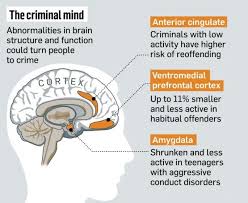 Science Maps Out The Antisocial Brain Criminal Psychology Psychology Studies Criminal Profiling