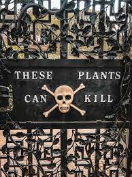 Alnwick Poison Garden 7 Warnings Before You Visit The World S Deadliest Gardens Poison Garden Alnwick Witch Garden