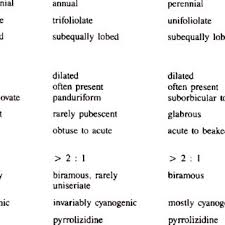 Image result for Lotononis laxa