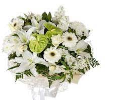 Our collection of sympathy flowers are a range of soft shades and pastel colours all that express your feeling in a difficult time. Funeral Sympathy Flowers Auckland Wreaths Casket Sprays Auckland New Zealand