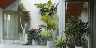 The cost to install a completely new landscape or update an existing one is dependent upon the scope of the project, the design elements you choose. Two Prominent Landscape Firms On Designing A Small Outdoor Space Architectural Digest