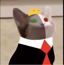 #pop cat meme #cat #cat memes #memes #popcat #funny cats #damemer #memer #da memer #cat pop #pog cat #mouth cat. Ranboo In 2021 Pop Cat Dream Team Mc Wallpaper