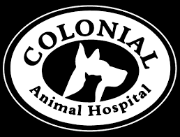 We also have metered parking spaces right in front of the hospital. Veterinarian In Boynton Beach Fl Animal Hospital In Boynton Beach Fl