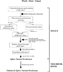 Schematic Representation Of The Work Flow Chart Of Splice