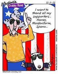 Lol A Little Election Day Humor Maxine Funny Humor