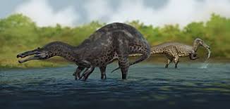 Image result for Suchomimus